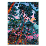 Puzzle Som do Silêncio 1000 Peças