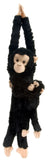 Hang W/Baby Chimpanzee