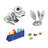 Sapo Robot Ycoo Friends - Concentra