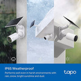 Câmara de Vigilância Exterior TP-Link TC82KIT - Branco
