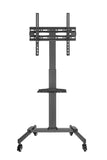 Suporte TV Fonestar STS-4244N Chão 32-65 35Kg