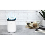 Desumidificador Cecotec BigDry 2000 Light (300ml/dia - 600ml)