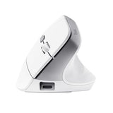 Rato Wireless Trust Bayo II Ergonómico - Branco