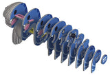 Maquete 3D de Brontossauro - Nature & Découvertes