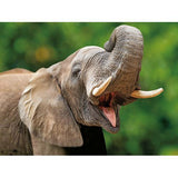 Pack Presente Odisseias - Jardim Zoológico | 2 Bilhetes para 1 adulto e 1 criança