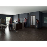 Aspirador Vertical AEG AP81B25WET