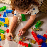 Kit Jelly Blox : Newbie - Concentra