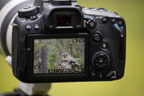 Máquina Fotográfica Canon EOS 90D Corpo - Reflex 32 MP | APS-C