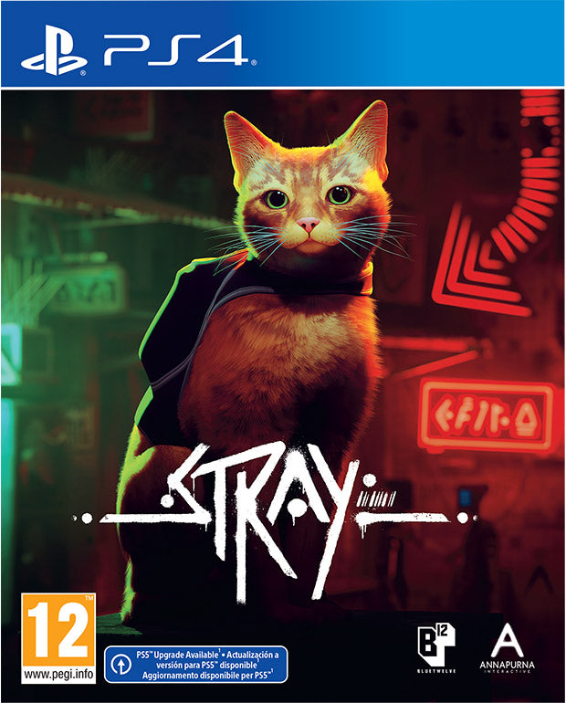 Stray': conheça o gato que inspirou o protagonista do novo jogo da  PlayStation